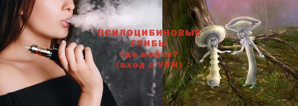 бутират Дмитриев