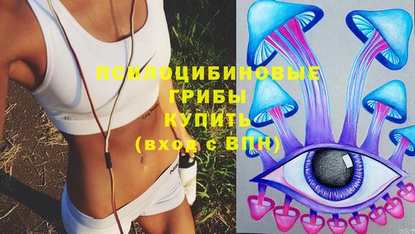прущая мука Дмитровск