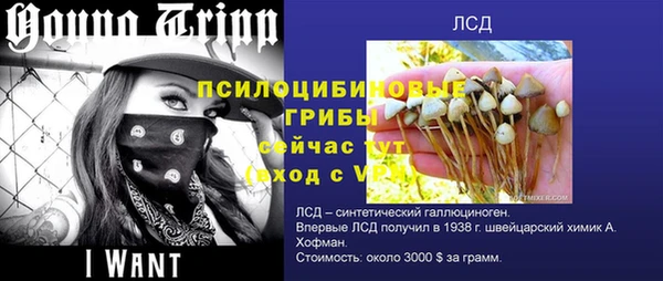 бутират Дмитриев